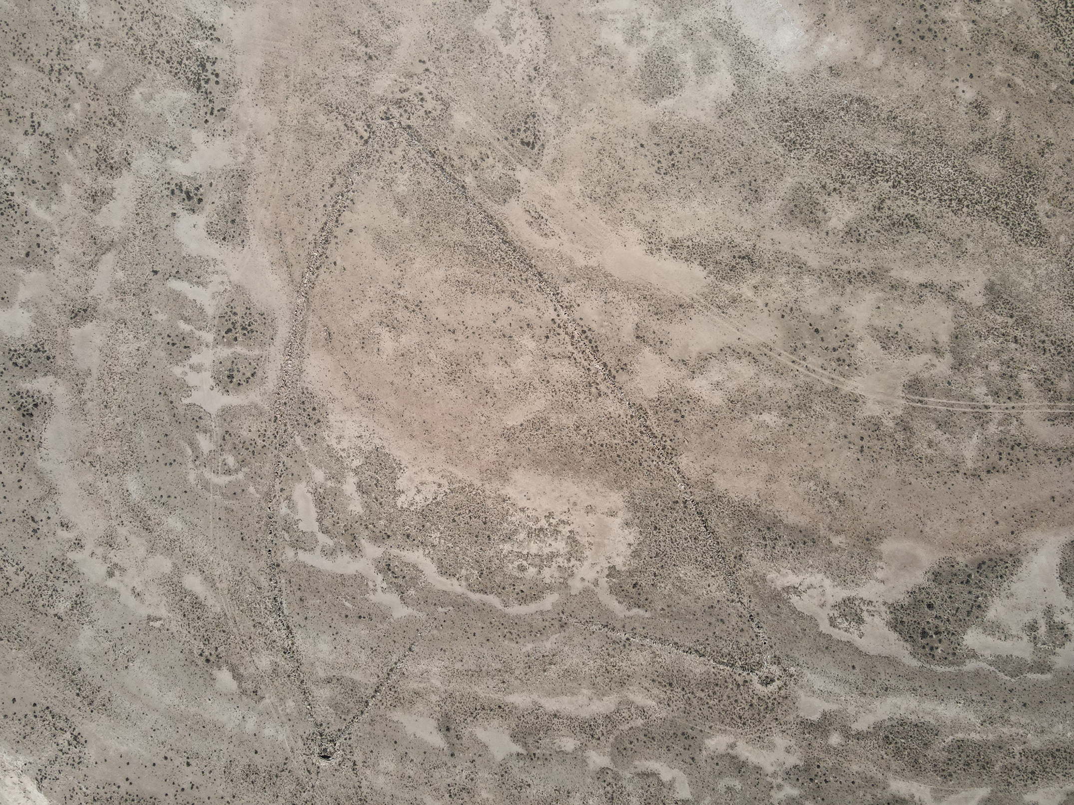 Aran hunting trap illustration 4